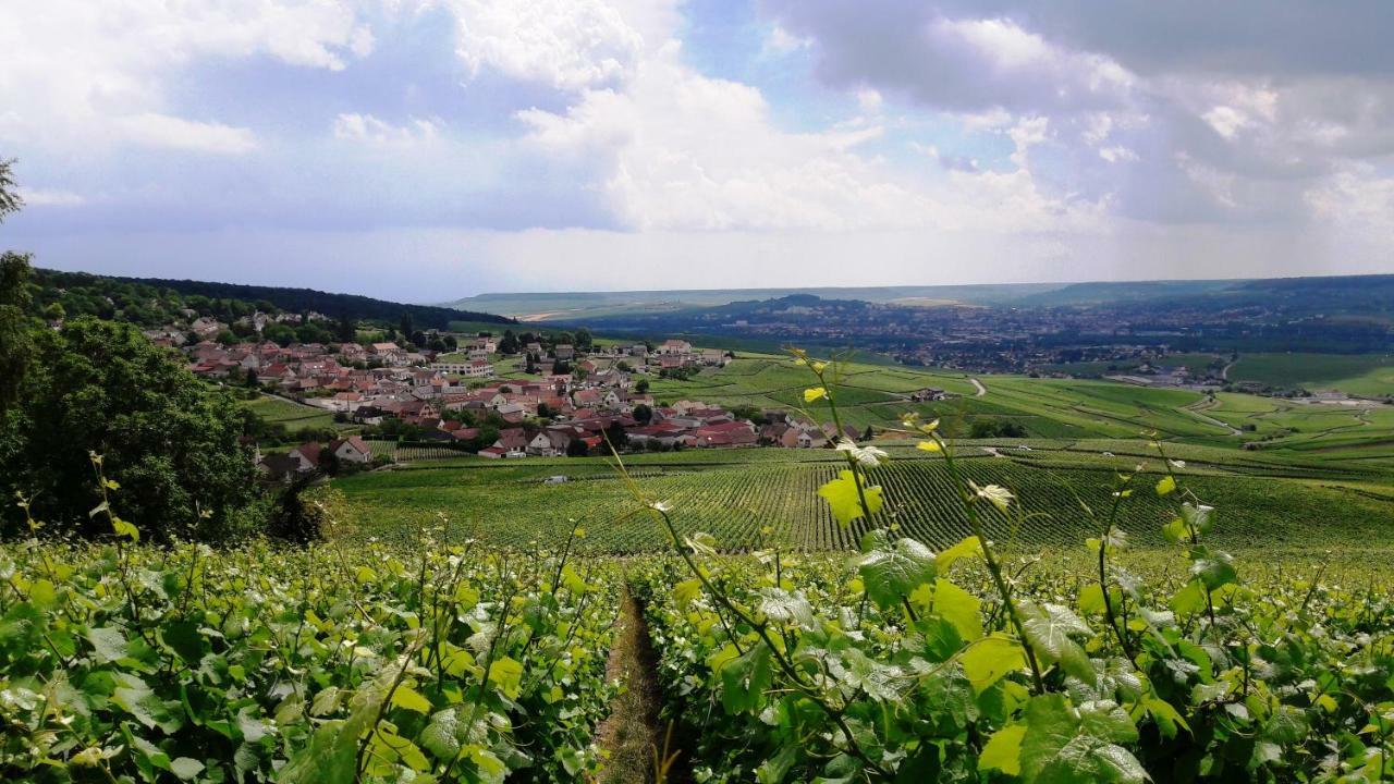 Le Logis Du Vendangeur Villa Champillon Kültér fotó