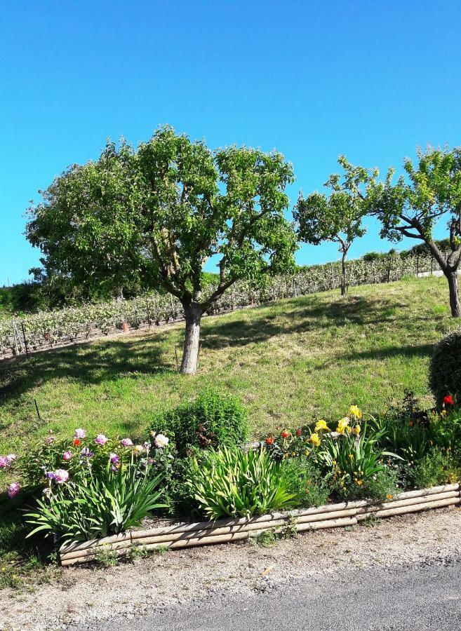 Le Logis Du Vendangeur Villa Champillon Kültér fotó